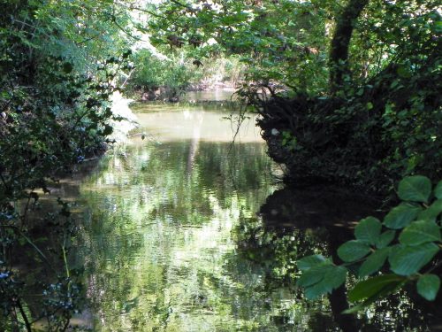 20.-Downstream-from-Tuck-Mill-upper-weir-2