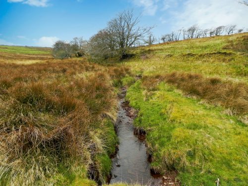 20.-Early-stream-approx-850-metres-from-source-2