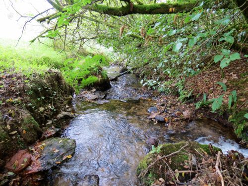 20.-Flowing-below-Beaters-Rocks-2