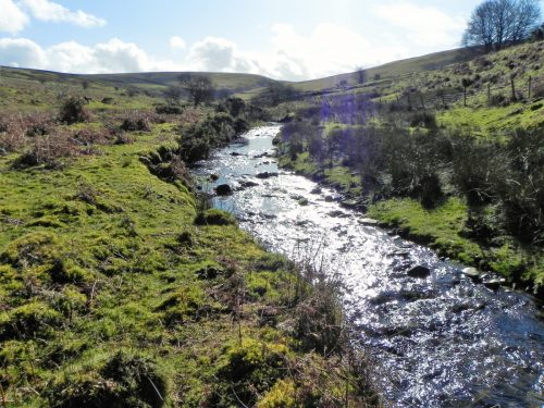 20.-Flowing-below-Furzehill-Common-2