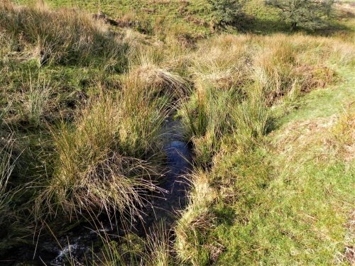 20.-Flowing-down-Ember-Combe-2