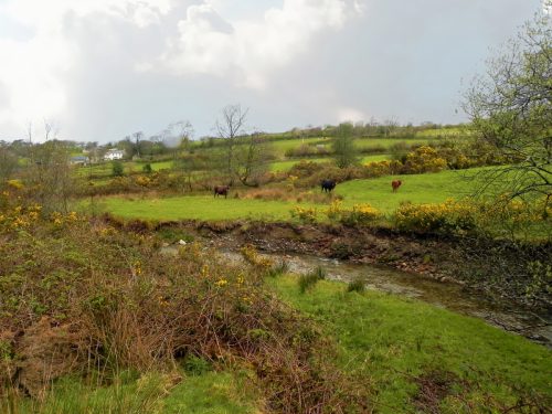 20.-Flowing-near-the-disused-Lynton-Barnstable-track-bed-2