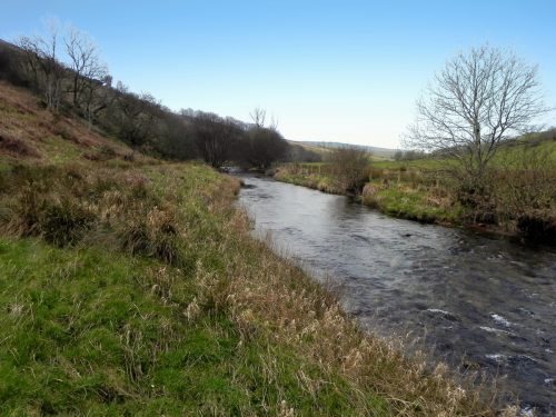 20.-Flowing-past-Hillway-Wood-2