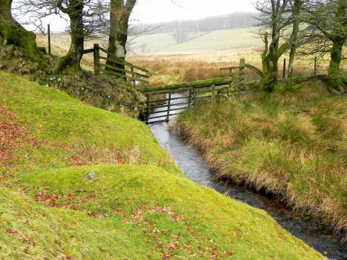 20.-Flowing-through-Long-Combe-2