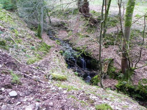 20.-Flowing-through-Luccombe-Plantation-2