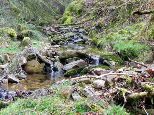 20.-Flowing-through-Mansley-Combe-2