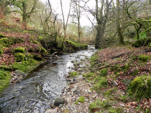 20.-Flowing-through-Underwood-Plantation-2