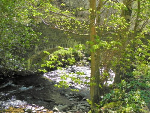 20.-Heddon-Mouth-Stone-Bridge-downstream-arch-2