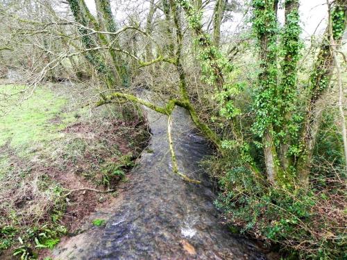 20.-Looking-downstream-from-Frog-Pit-Moor-Bridge-2