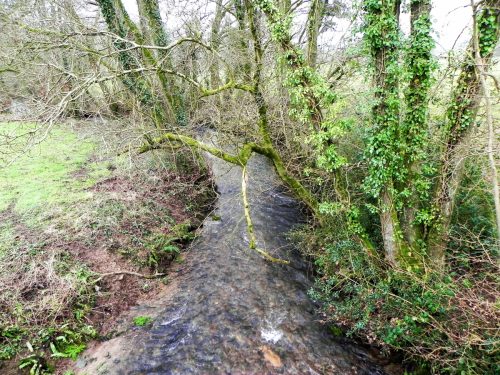 20.-Looking-downstream-from-Frog-Pit-Moor-Bridge-2