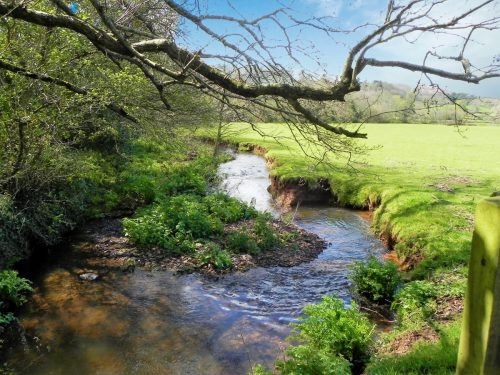 20.-Looking-downstream-from-Honicote-House-Bridge-2