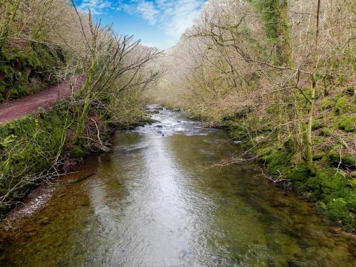 20.-Looking-downstream-from-Wester-Wood-Footbridge-2