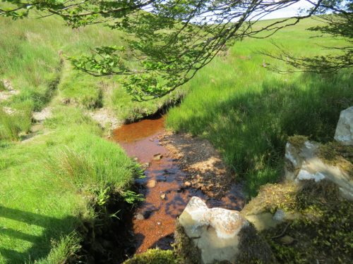 20.-Looking-upstream-from-Exe-bridge