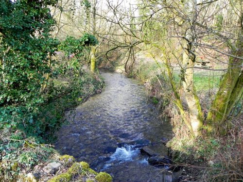 20.-Looking-upstream-from-Pulhams-Mill-Bridge-2