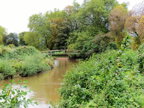 20.-Looking-upstream-to-Clarence-Street-Pipe-Bridge-2