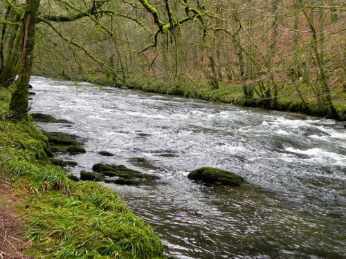 20.-Near-Shircombe-Slade-2