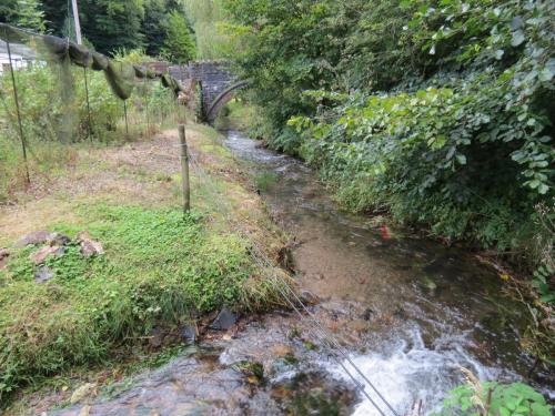 20.-Stawley-Mill-leat-return-to-River-Tone