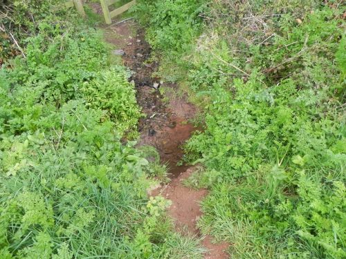 20.-Tivington-Knowle-headstream