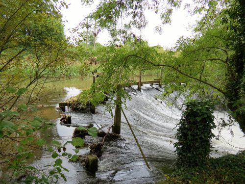 20.-Tonedale-Weir-2