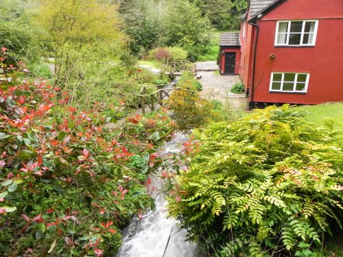 20.-Tributary-stream-joins-from-Rookery-Wood-2