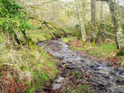 20.-Tributary-stream-near-ROW-Bridge-1898-2