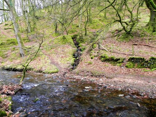 20.-Tributarystream-joins-from-Pool-Wood-2