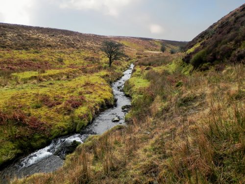 20.-Upstream-from-Colley-Water-2