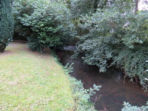 20.-Upstream-from-Greenham-Bridge