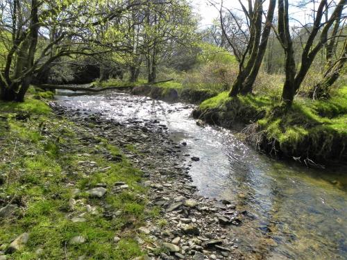 20.-Upstream-from-Heddon-Valley-Mill-2