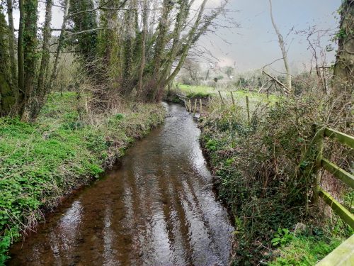 20.-Upstream-from-Lower-Allerford-Footbridge-2