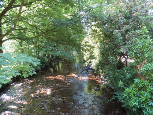 20.-Upstream-from-Packhorse-Bridge