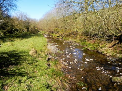 20.-Upstream-from-Shircombe-Farm-2