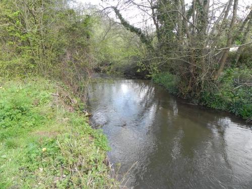 20.-Upstream-from-Washford-Mill-Leat-Weir