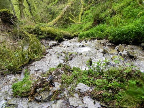 20.Downstream-from-the-incline-waterfall-2
