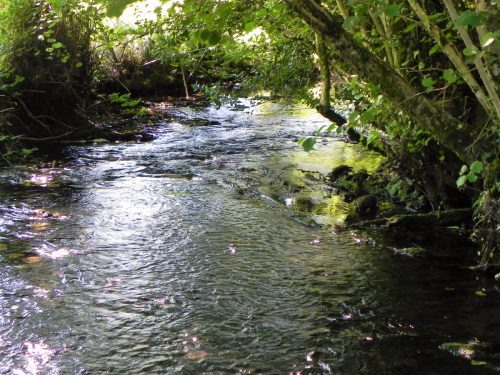 21.-Downstream-from-Gardeners-Bridge-2