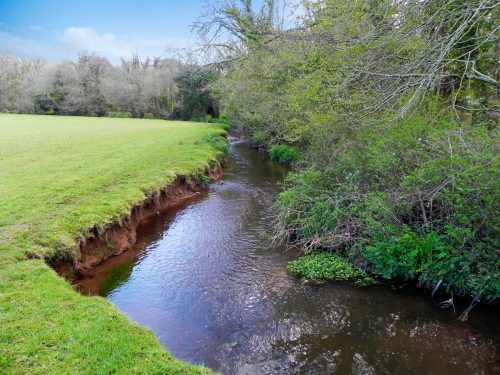 21.-Downstream-from-Honicote-House-Bridge-2