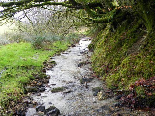 21.-Downstream-from-Little-ash-Combe-2