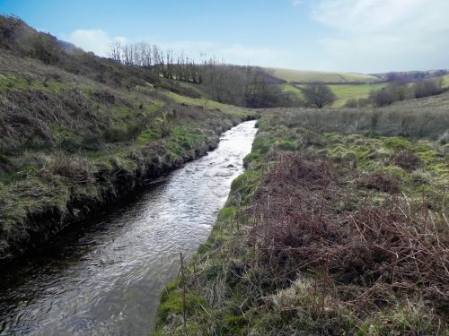 21.-Downstream-from-Long-Holcombe-Water-2