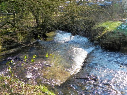 21.-Downstream-from-Luckwell-Bridge-2