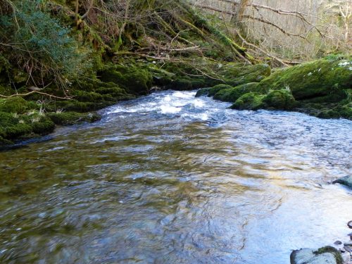 21.-Downstream-from-Rockford-2