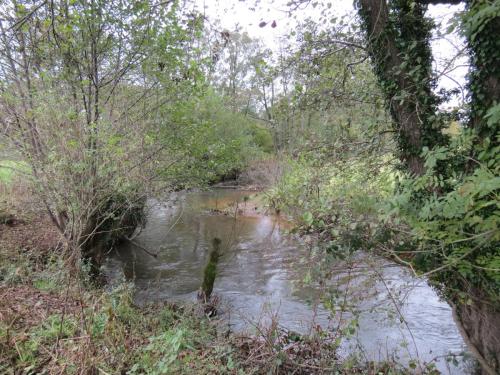 21.-Downstream-from-Wellisford-Manor-Bridge