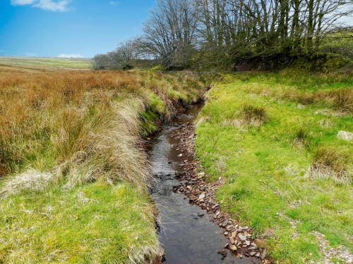 21.-Early-stream-approx-900-metres-from-source-2