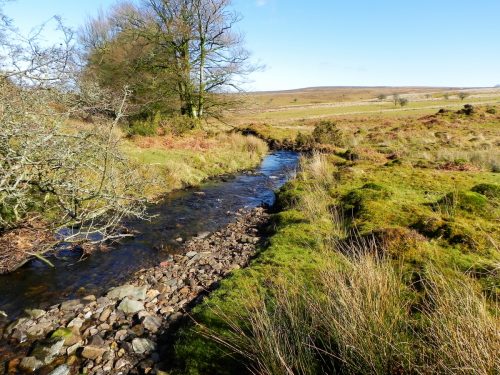 21.-Flowing-below-Furzehill-Common-2