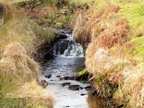 21.-Flowing-down-Long-Chains-Combe-2
