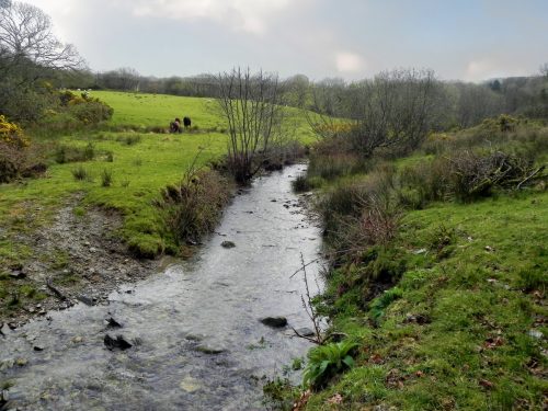 21.-Flowing-near-the-disused-Lynton-Barnstable-track-bed-2