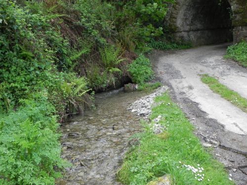 21.-Flowing-through-Comberow-5