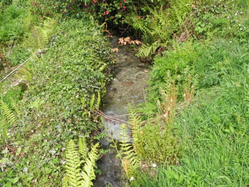 21.-Flowing-through-Comberow-8