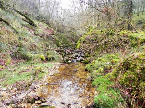 21.-Flowing-through-Mansley-Combe-2