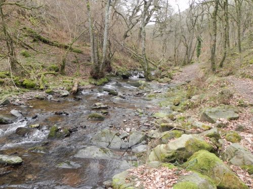 21.-Flowing-through-Wilmersham-Wood