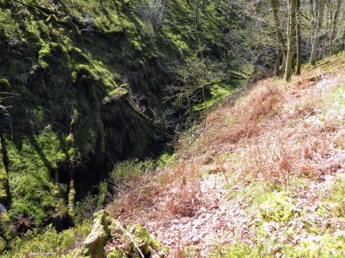 21.-Flowing-through-ravine-2